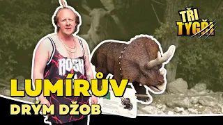 TŘI TYGŘI | Lumírův drým džob