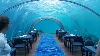 5.8 Undersea Restaurant at Hurawalhi Maldives Resort