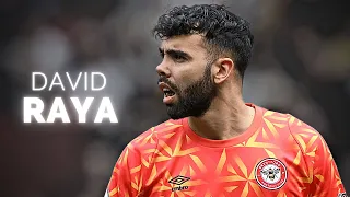 David Raya - Season Highlights | 2023