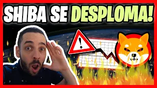 🙉 SI ERES HOLDER DE SHIBA INU TIENES QUE SABER ESTO 💥SHIBA SE HUNDE❓ANÁLISIS Criptomonedas Binance✅