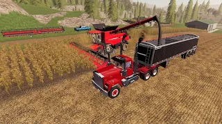 Harvest day on the $1,000,000 Farm | Buying pigs and more | Suits to boots 5 | Farming simulator 19