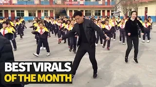 Top 20 Viral Videos of the Month - January