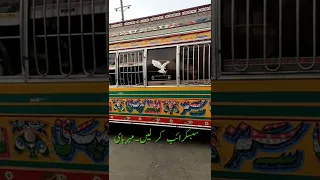 Pakistani local bus|🚌🚐|Inayat sons buses#youtubeshorts #shorts