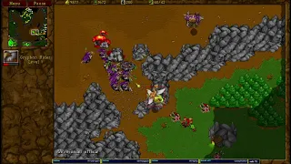 Warcraft 2 Thunder Bird