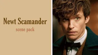 Newt Scamander - Scene Pack | 1080p HD Logoless (Fantastic Beasts and Where to Find Them)