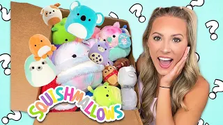 I ORDERED SOMEONES ENTIRE SQUISHMALLOW COLLECTION 😱 WAS IT A SCAM?! 😡