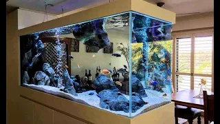 8 Super Clean African Cichlid Tank Ideas | Beautiful Cichlids Aquarium