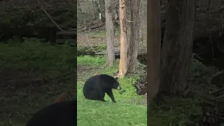 he got the suet 🤣