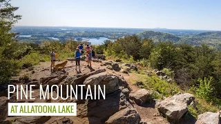 Pine Mountain Trail: hiking & trail running near Allatoona Lake