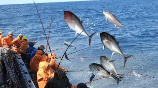 Full video Fishing for tuna the old fashioned way - Catching 10 tons of  tuna in 15 minutes on Boat