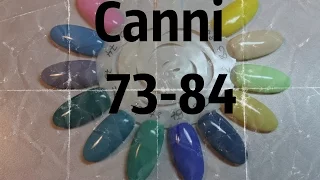 Палитра Canni цвета 73 - 84. Свотчи Canni. Плотность Canni. Обзор