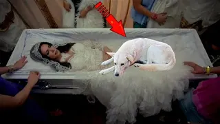 The dog did not leave the girl’s coffin, the man took a closer look and called the police!