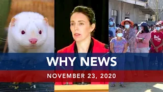 UNTV: Why News | November 23, 2020