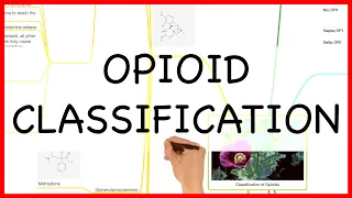 OPIOID CLASSIFICATION -PHARMACOLOGY SERIES