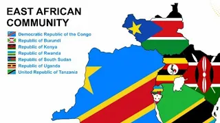 Tanzanians share their opinions on EAC's plans to introduce single currency in the region