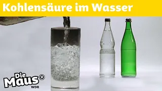 Wie kommen die Blasen ins Mineralwasser? | DieMaus | WDR