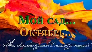 …Ах, сколько красок в палитре осенней!  Мой сад ...   Октябрь ...