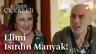 Zehra, Ejder'in elini ısırıyor! | Kırgın Çiçekler Mix Sahneler