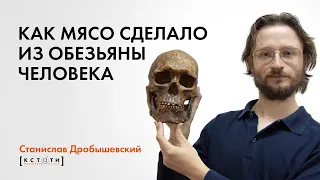 Станислав Дробышевский "Как мясо сделало из обезьяны человека"