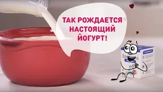 Закваски VIVO - так рождается настоящий йогурт!