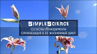 Основы менеджмента. Организация и этапы ее жизненного цикла.