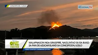 One Western Visayas: Grassfire, nagluntad sa bukid sa Pan De Azucar Island sa Concepcion, Iloilo