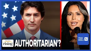 Tulsi Gabbard Defends Jordan Peterson, BLASTS Trudeau's Govt. As 'Increasingly Authoritarian,'