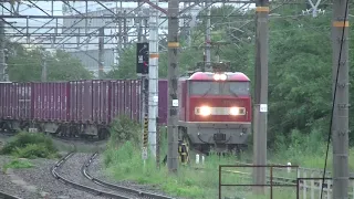 【ゴトウさん】JR貨物 EF510-19+コキ20B  4071レ  西大路にて