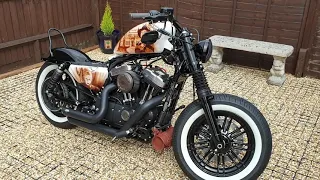 Scary Harley davidson sportster forty eight 48 custom 😱