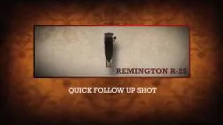 R-25 Modular Repeating Rifle by Remington