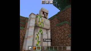 Really iron golem gives poppy to baby villager ????