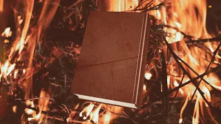 Сожгли книгу и спасли мир