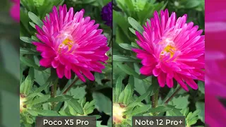 Poco X5 Pro Vs Redmi Note 12 Pro Plus Camera Test