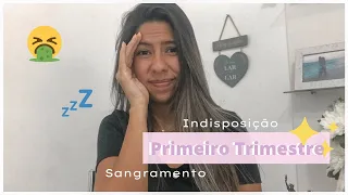 DIÁRIO DA GRAVIDEZ| PRIMEIRO TRIMESTRE - Enjoos, cólicas, fadiga, sangramento, sono...