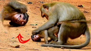 Mom Stop.!!!.. Little Cute Baby He So Happy With Mama Monkey.. Mom Do Not Good To Baby.. Nice Clip.