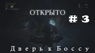 Бладборн подземелье, bloodborne #3