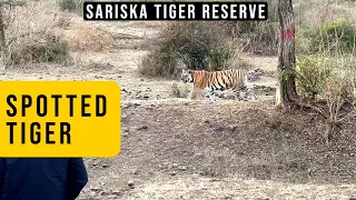 Sariska National Park | Tiger in Sariska National Park | Sariska Gate | Tiger Sighting | Sariska