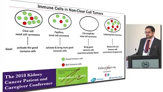 Systemic treatment options for patients with metastatic non-clear cell renal cell carcinoma