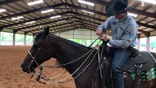 Tackle the 2 Rein-Learn 3 Legal Ways to Hold the Reins