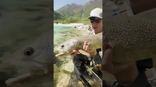 SLO-FLY.COM. Fly Fishing Slovenia. Soča on dry fly. Part 2. April 2024