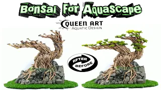 Bonsai For Aquascape - Senggani Root Hardscape