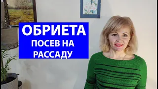 Как сеять обриету