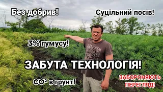 Відмовився від добрив і збирає більше! Технологія забута в 50х! Внесення СО² в грунт суцільний посів