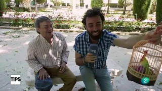 Entrevista a Joselito en Tips (TVE) con Rafa Rodrigo