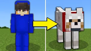 Minecraft'ta Arkadaşımı Köpek Olarak Trolledim