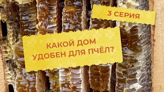 3 серия. Какой же дом удобен для пчёл?