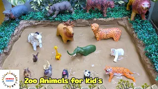 Zoo Animals for Kids: Muddy Sandbox Fun with Zebra, Giraffe, Elephant & More! | Animals Sandbox