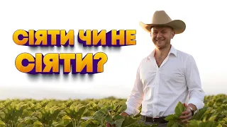 СІЯТИ ЧИ НЕ СІЯТИ У 2023 році? #агрофіл