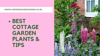 What is cottage garden style - and how to achieve it