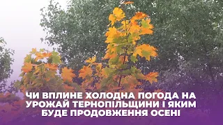 Чи вплине холодна погода на урожай Тернопільщини і яким буде продовження осені